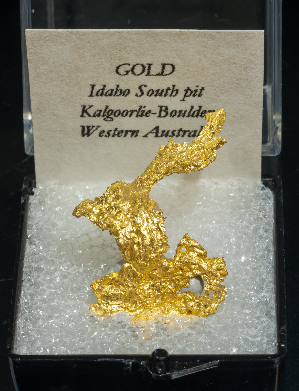 specimens/s_imagesAK9/Gold-TE92AK9f1.jpg