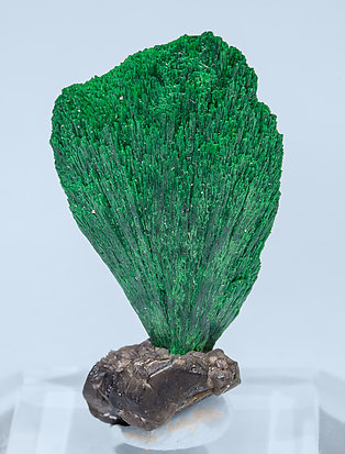 Malachite with Cerussite. Front