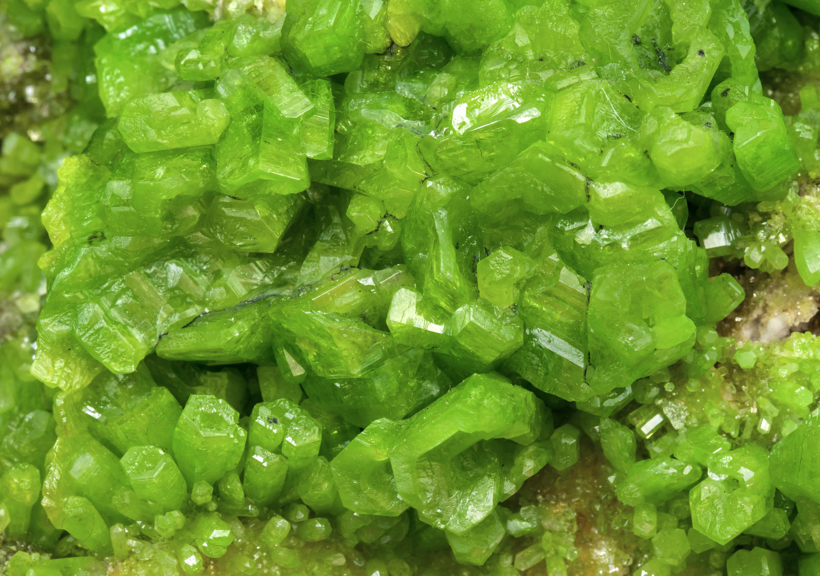 specimens/s_imagesAK9/Pyromorphite-EG16AK9d.jpg