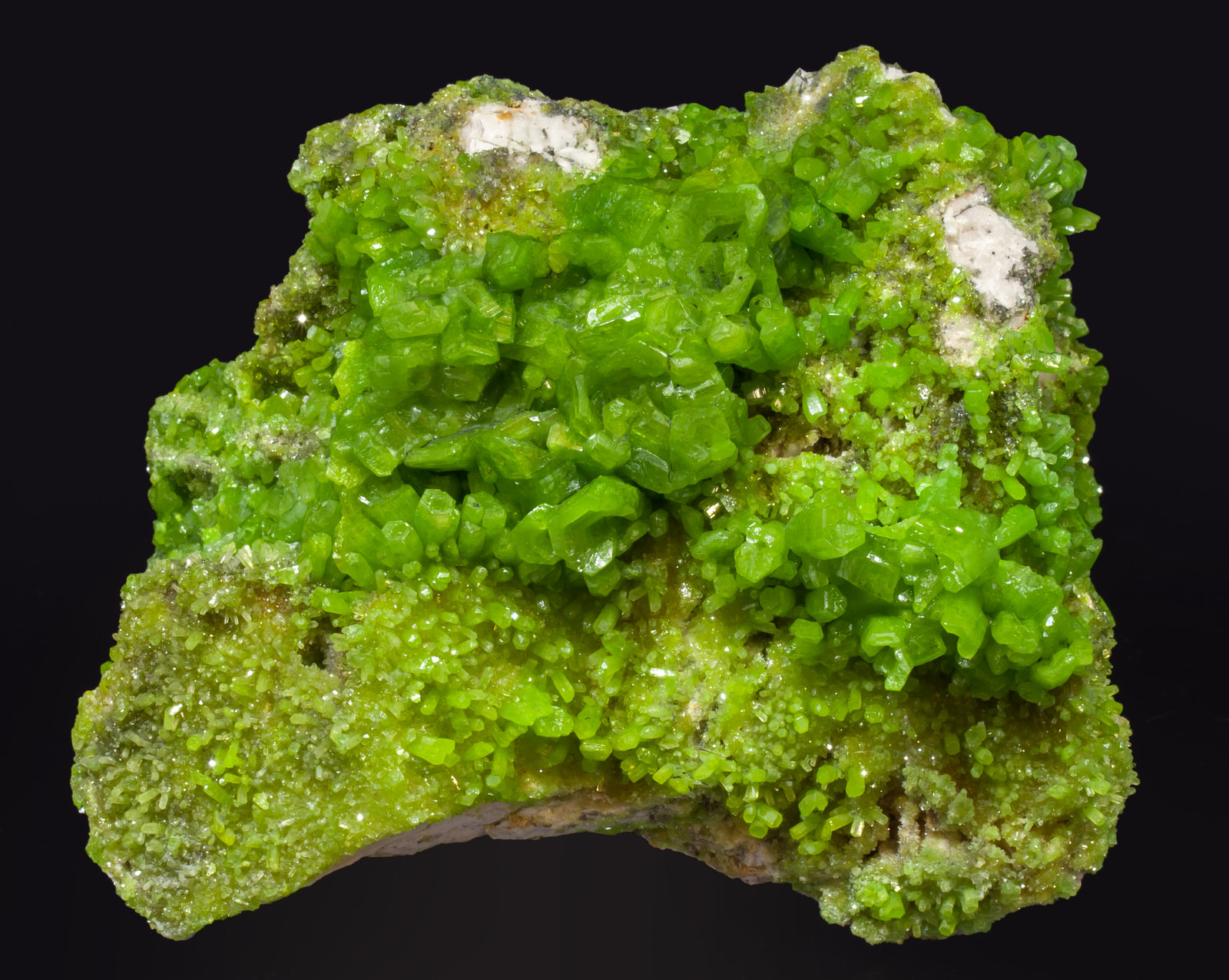 specimens/s_imagesAK9/Pyromorphite-EG16AK9f.jpg