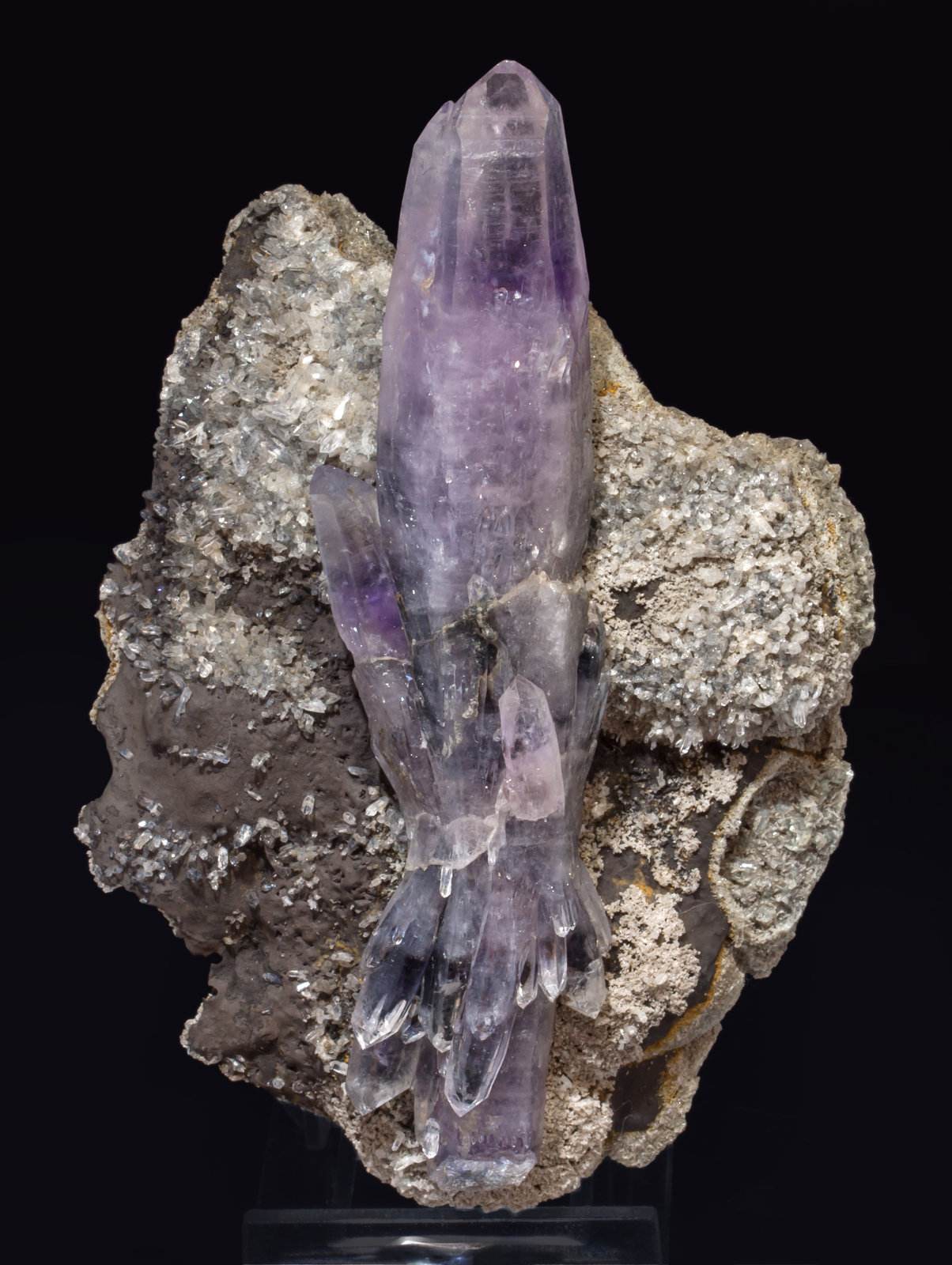 specimens/s_imagesAK9/Quartz_amethyst-DF87AK9f.jpg