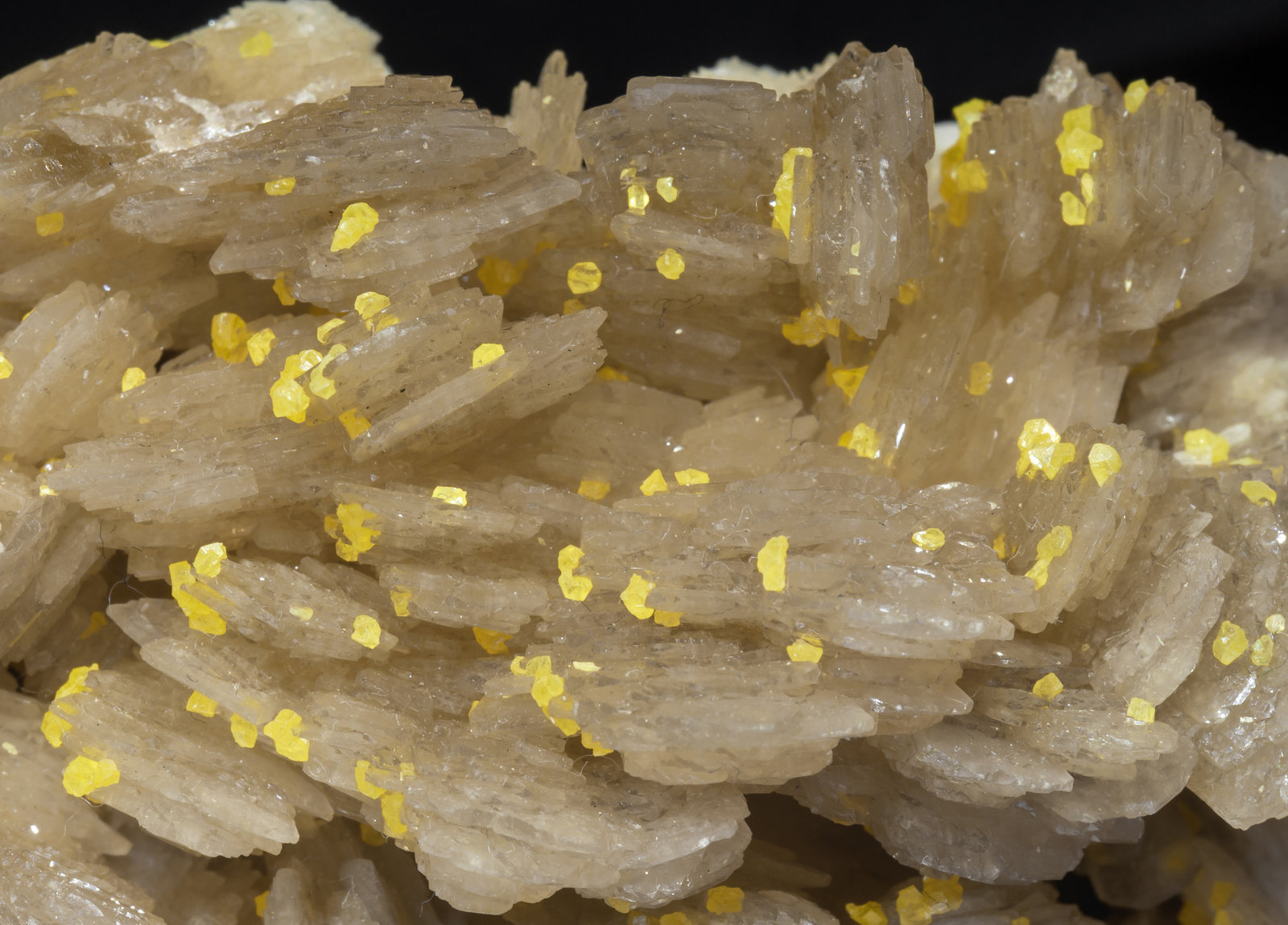 specimens/s_imagesAL0/Baryte-MP46AL0d.jpg