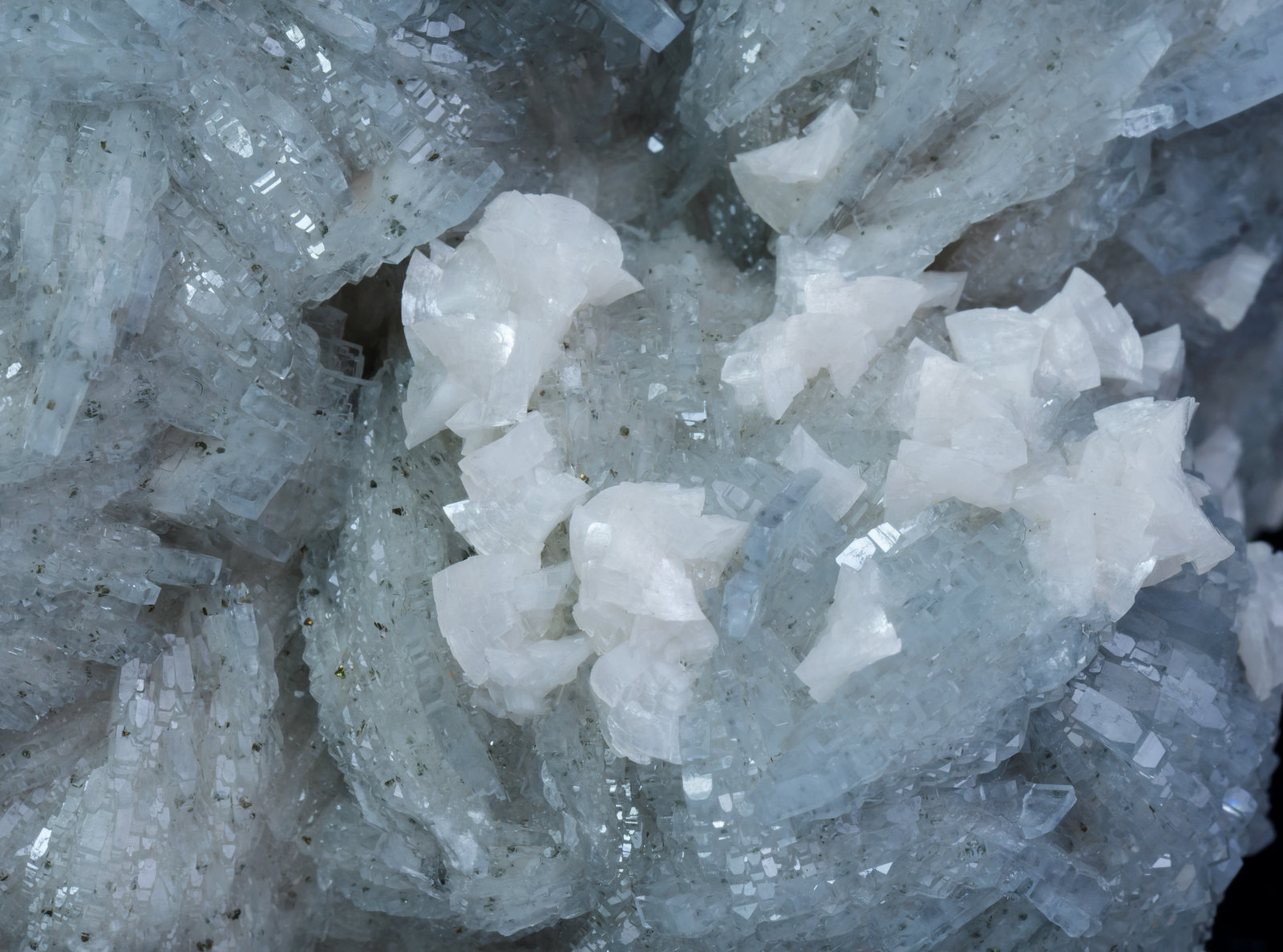 specimens/s_imagesAL0/Baryte-NK47AL0d.jpg