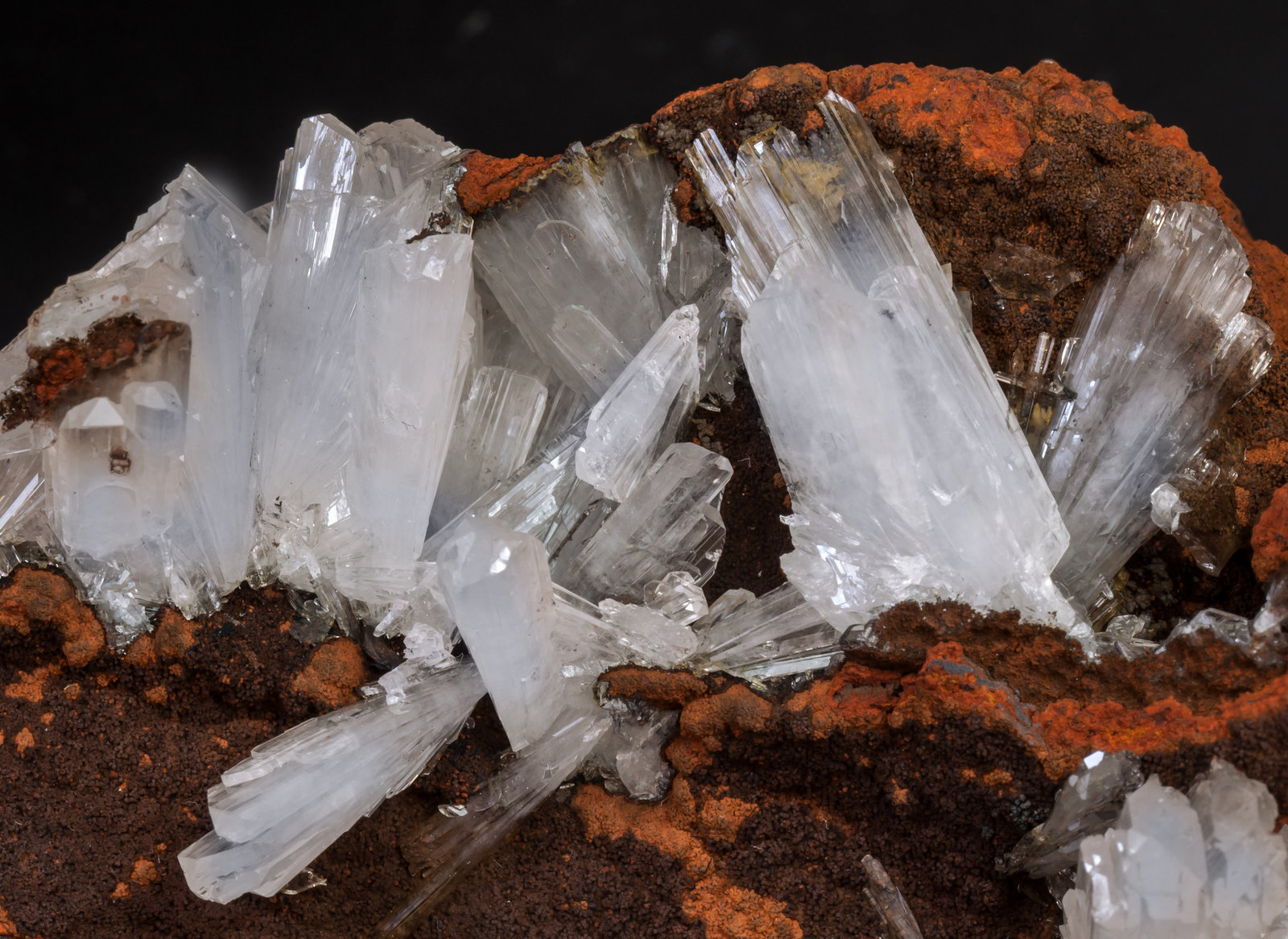 specimens/s_imagesAL0/Hemimorphite-MF13AL0d.jpg