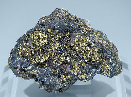 Hutchinsonite with Pyrite and Galena.