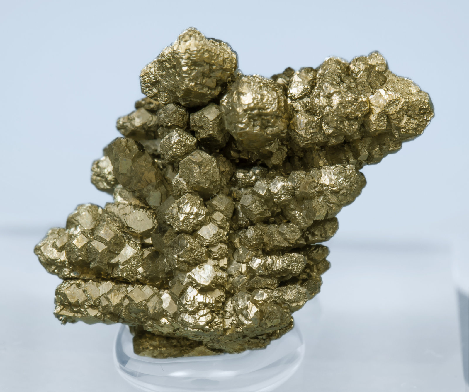 specimens/s_imagesAL0/Pyrite-EV8AL0.jpg