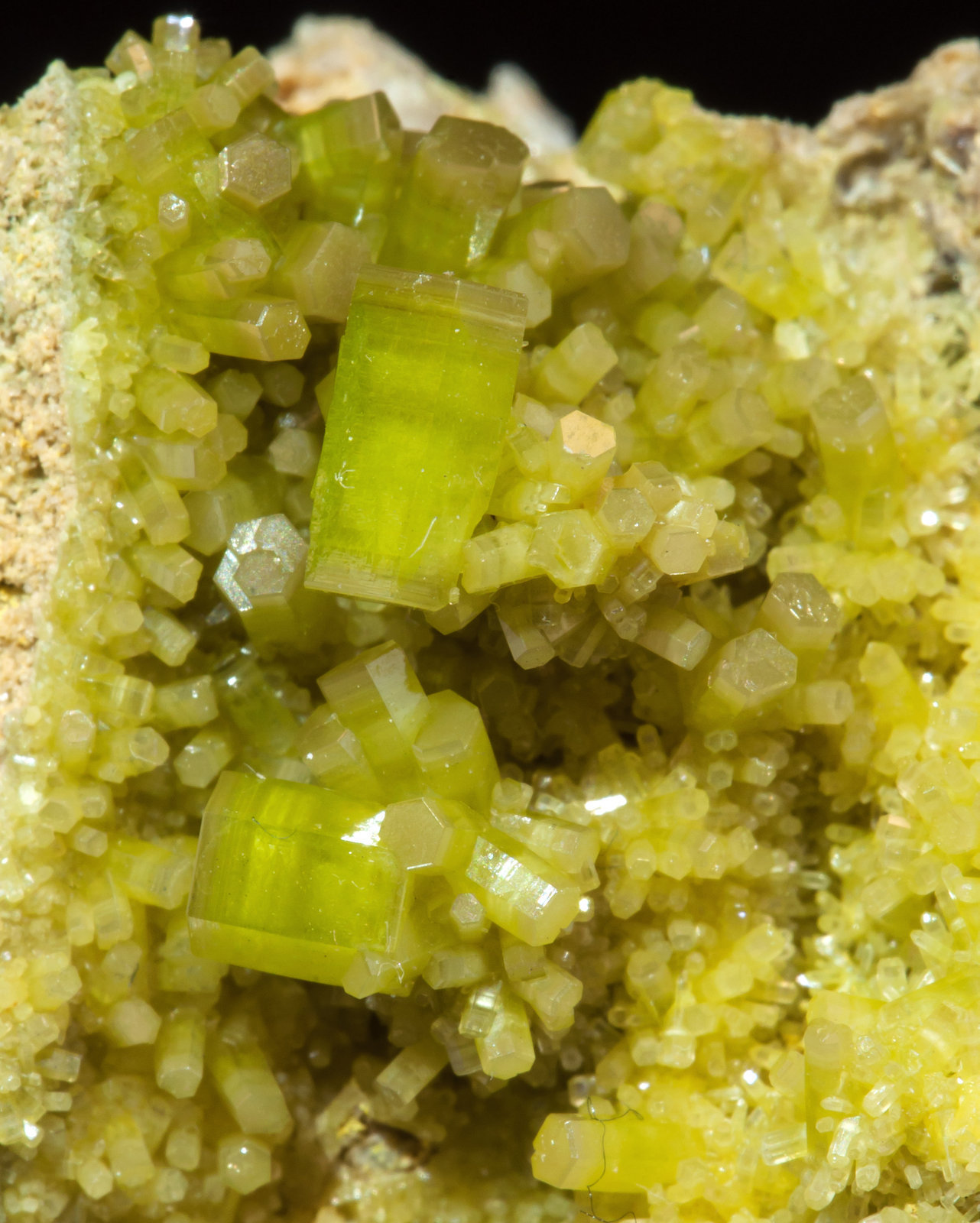 specimens/s_imagesAL0/Pyromorphite-NV27AL0d.jpg