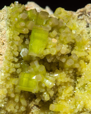 Pyromorphite. 