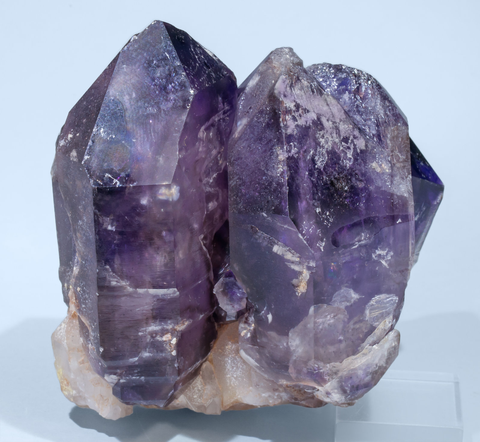 specimens/s_imagesAL0/Quartz_amethyst-EN56AL0r.jpg