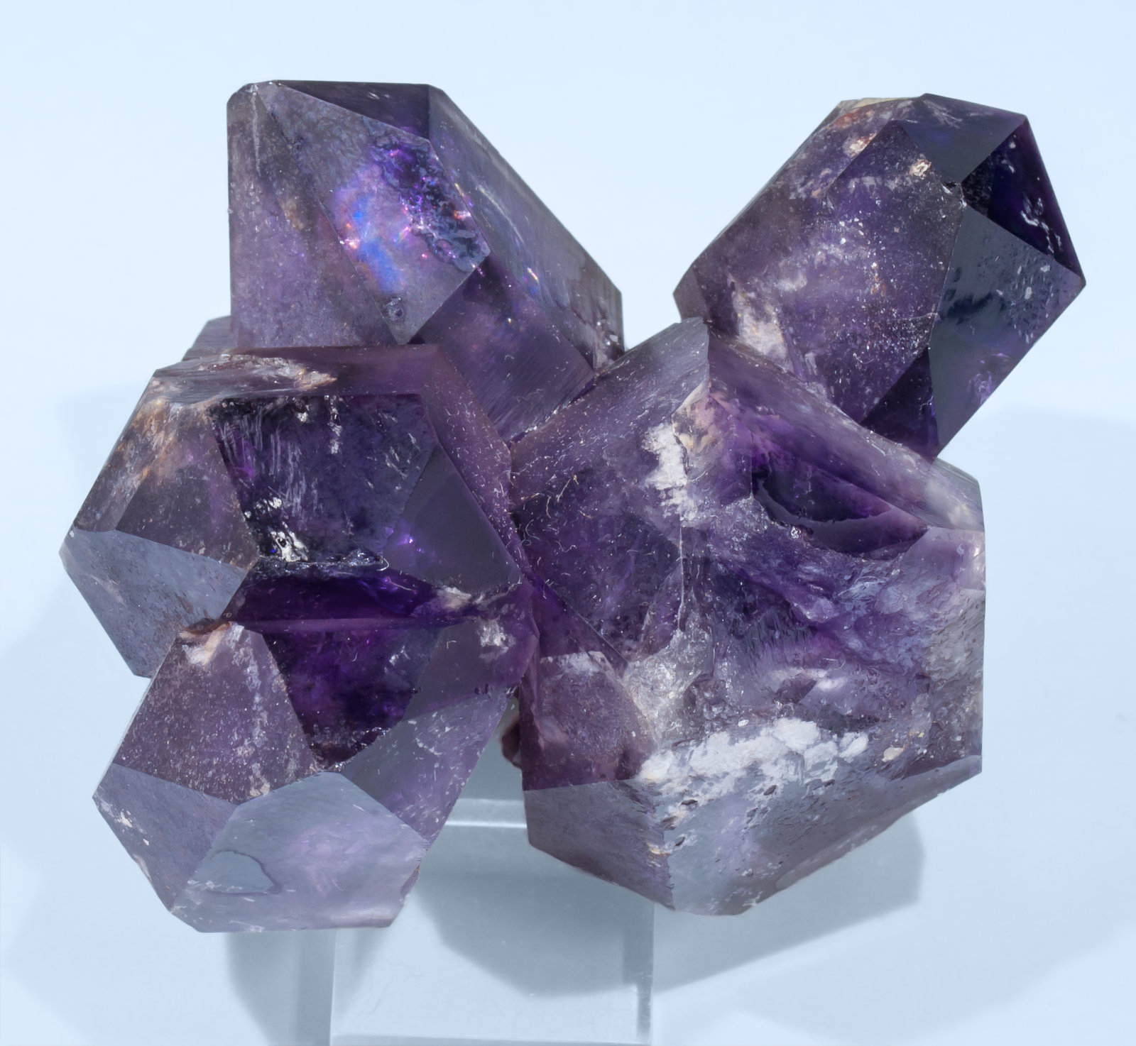 specimens/s_imagesAL0/Quartz_amethyst-EN56AL0t.jpg