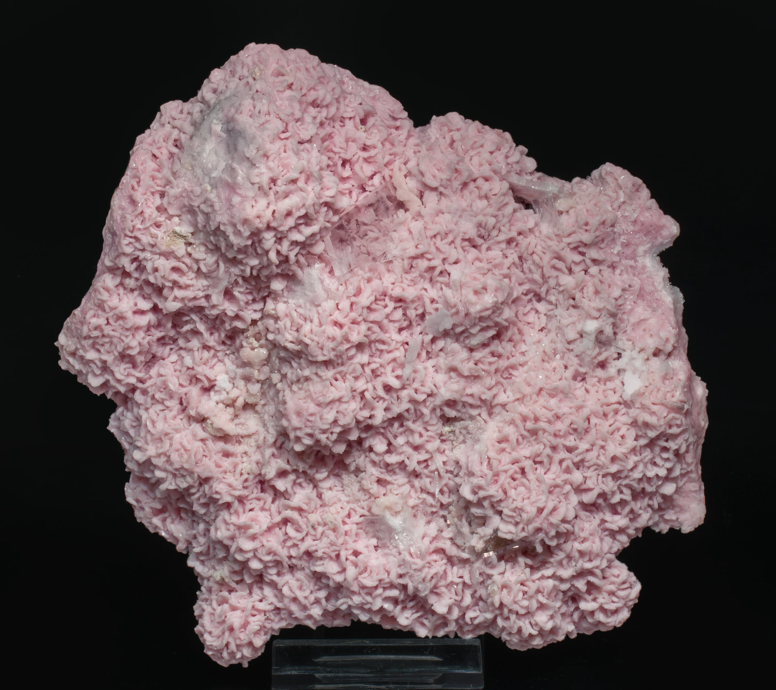 specimens/s_imagesAL0/Rhodochrosite-NA89AL0f.jpg