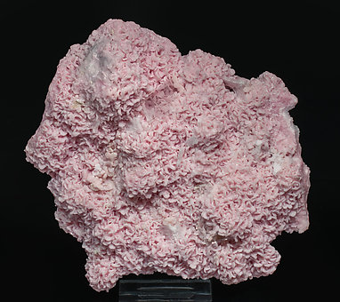 Rhodochrosite with Baryte and Dolomite.