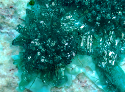 Dioptase. 