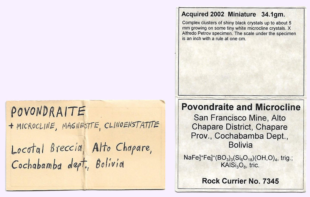 specimens/s_imagesAL1/Povondraite-TH90AL1e.jpg