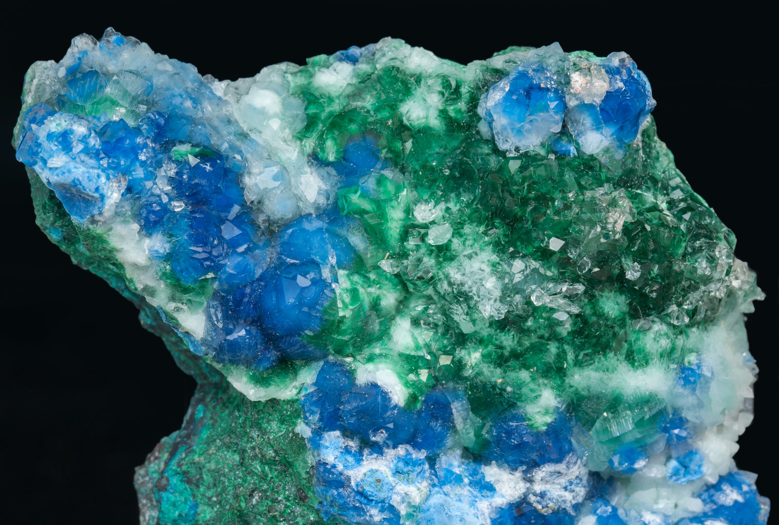 specimens/s_imagesAL1/Shattuckite-TG99AL1d.jpg