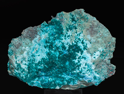 Shattuckite with Quartz and Dioptase. Rear