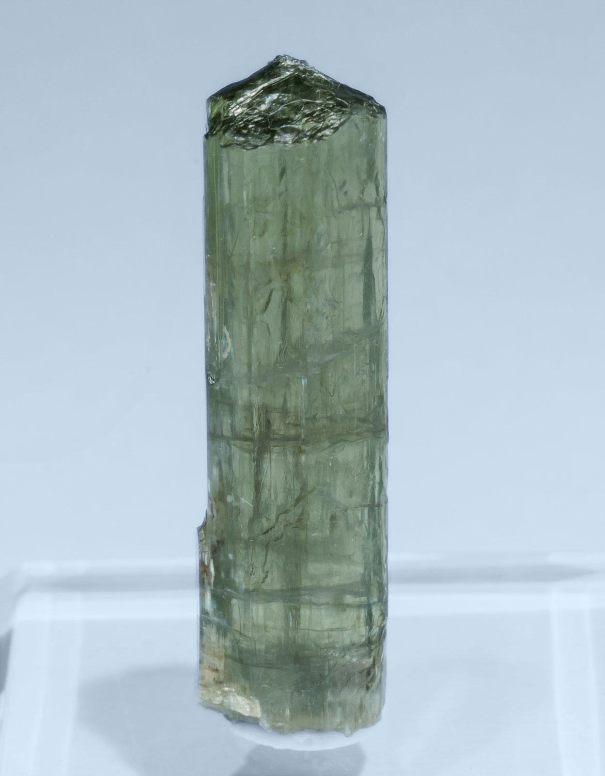 specimens/s_imagesAL1/Tremolite-TF50AL1f.jpg