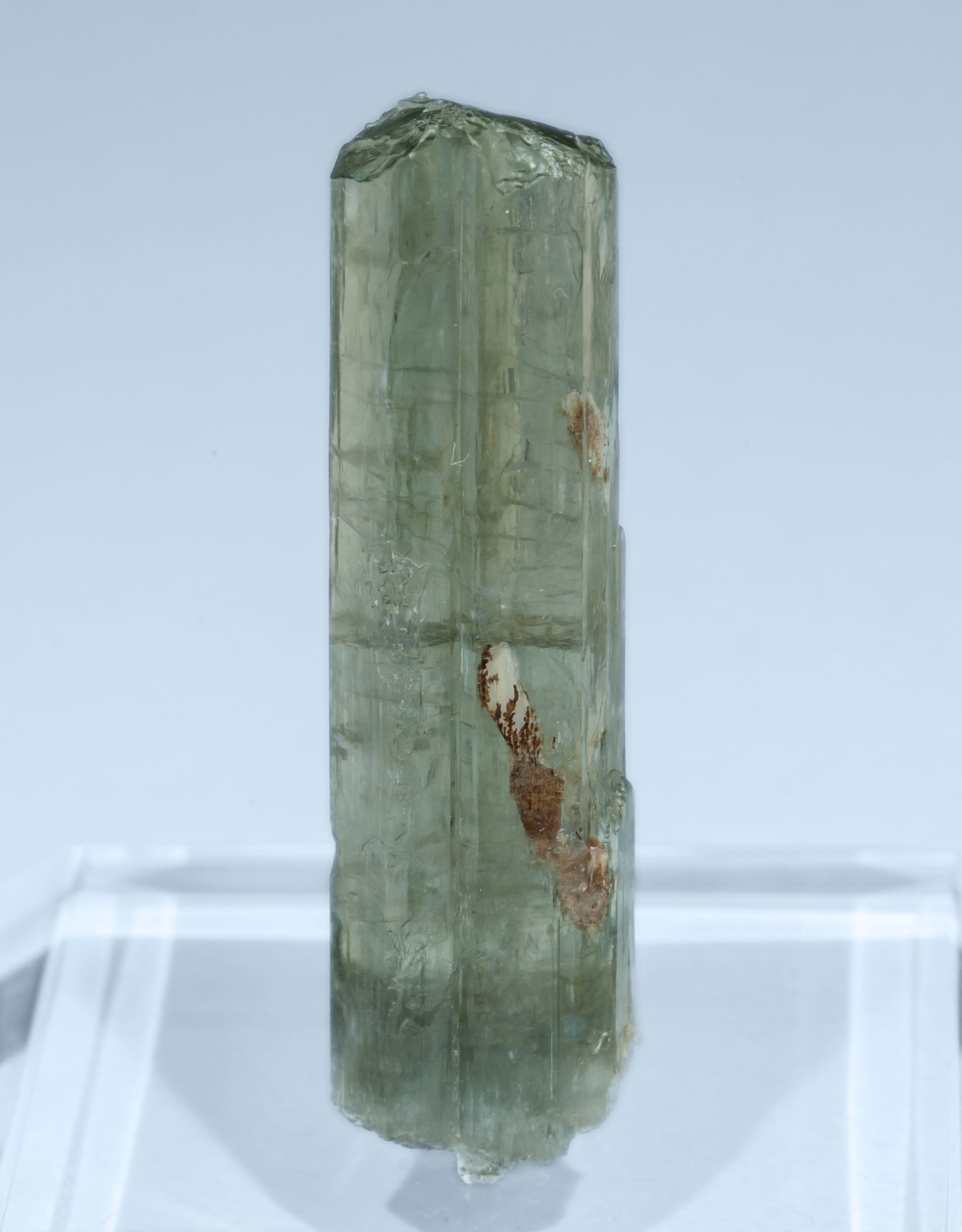 specimens/s_imagesAL1/Tremolite-TF50AL1r.jpg