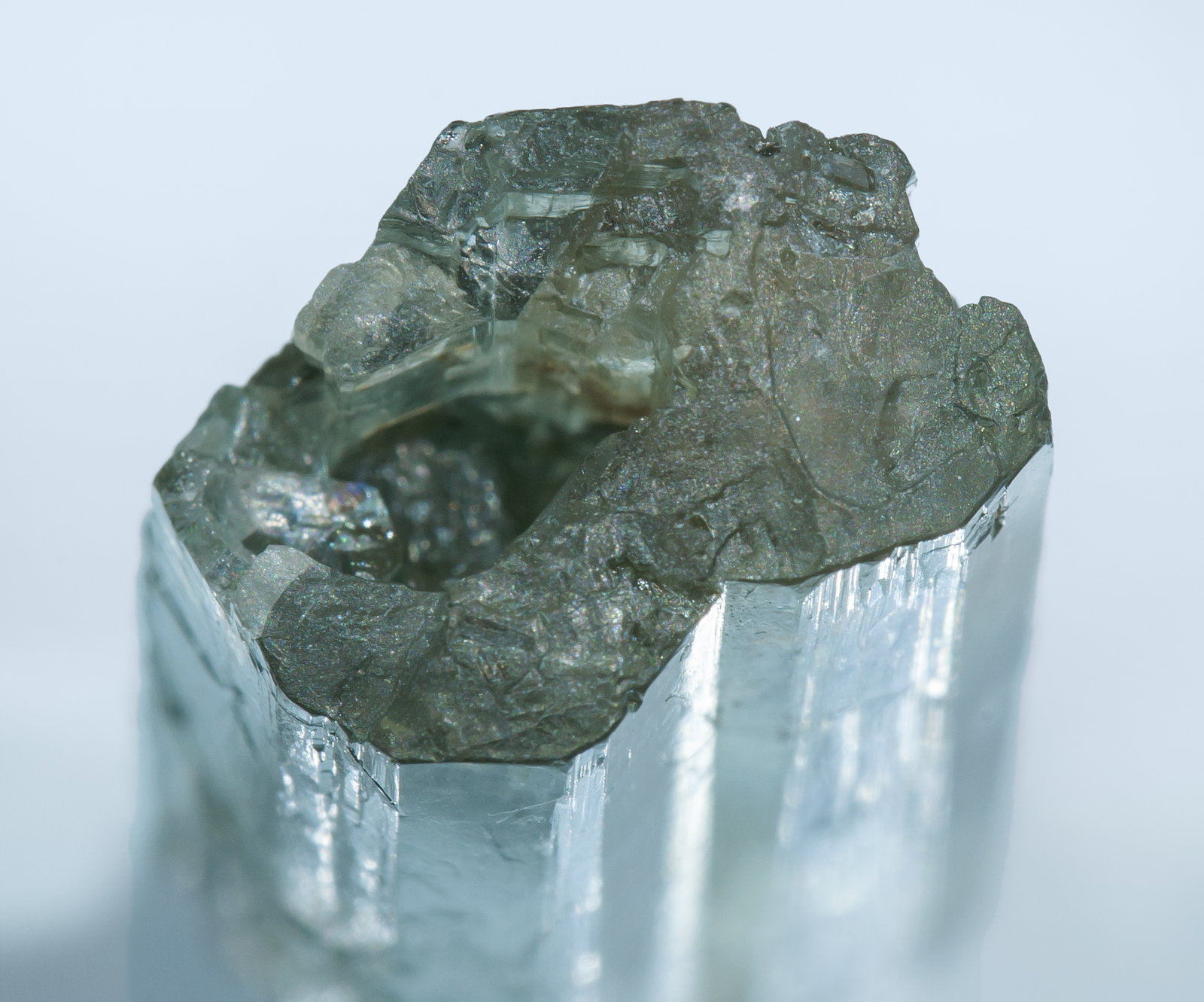 specimens/s_imagesAL1/Tremolite-TT56AL1t.jpg