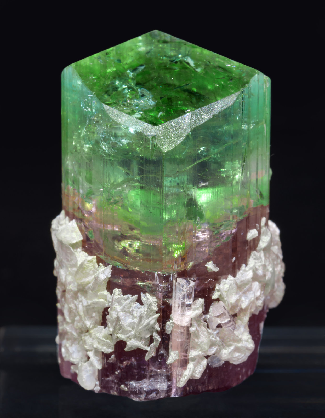 specimens/s_imagesAL2/Elbaite-MR26AL2f.jpg