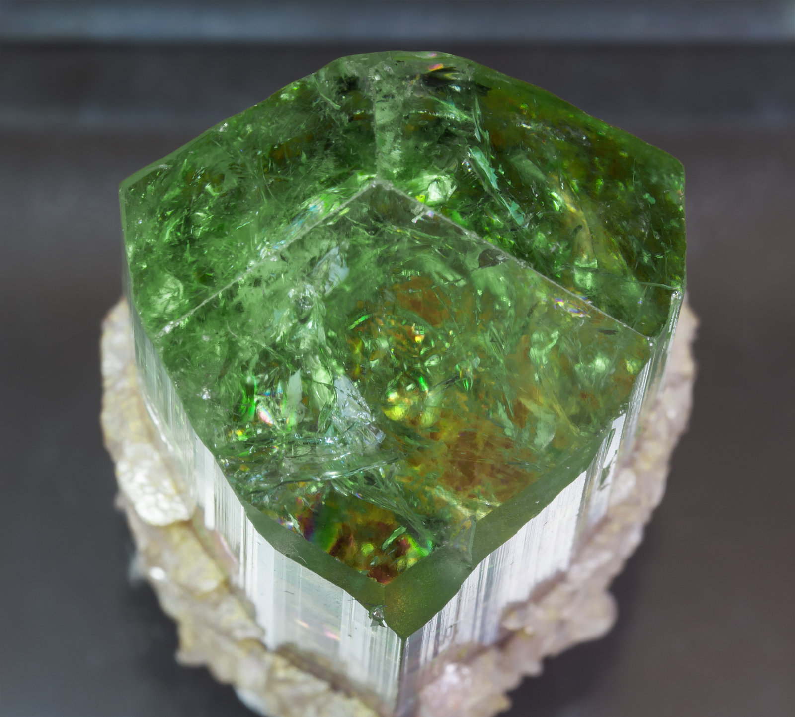 specimens/s_imagesAL2/Elbaite-MR26AL2t.jpg