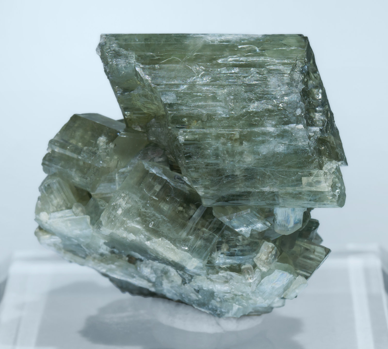 specimens/s_imagesAL2/Tremolite-TA37AL2f.jpg