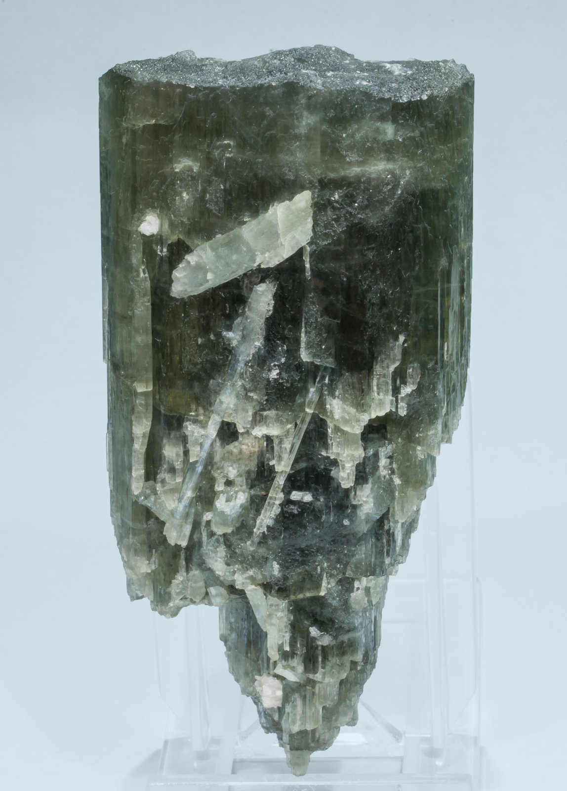 specimens/s_imagesAL2/Tremolite-TC89AL2r.jpg
