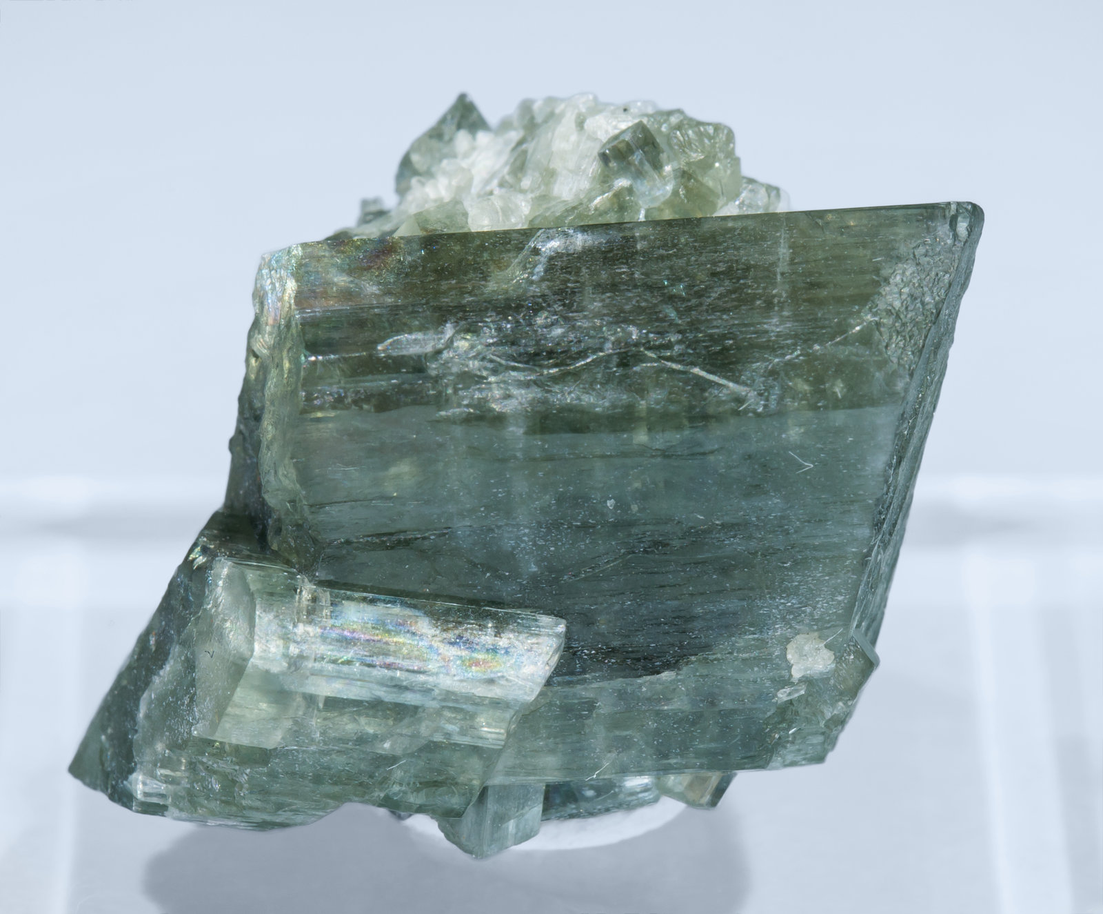 specimens/s_imagesAL2/Tremolite-TT46AL2f.jpg