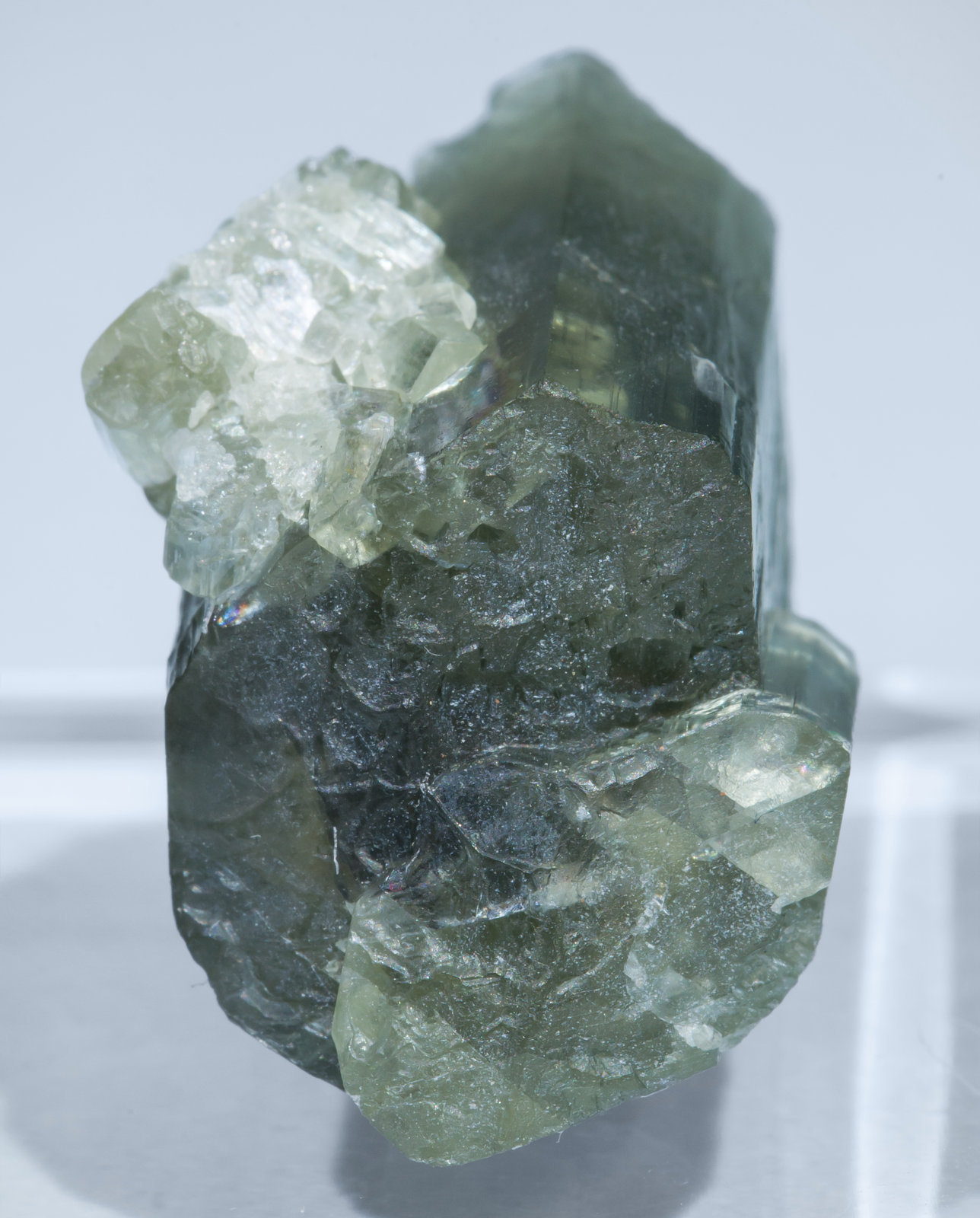 specimens/s_imagesAL2/Tremolite-TT46AL2s1.jpg