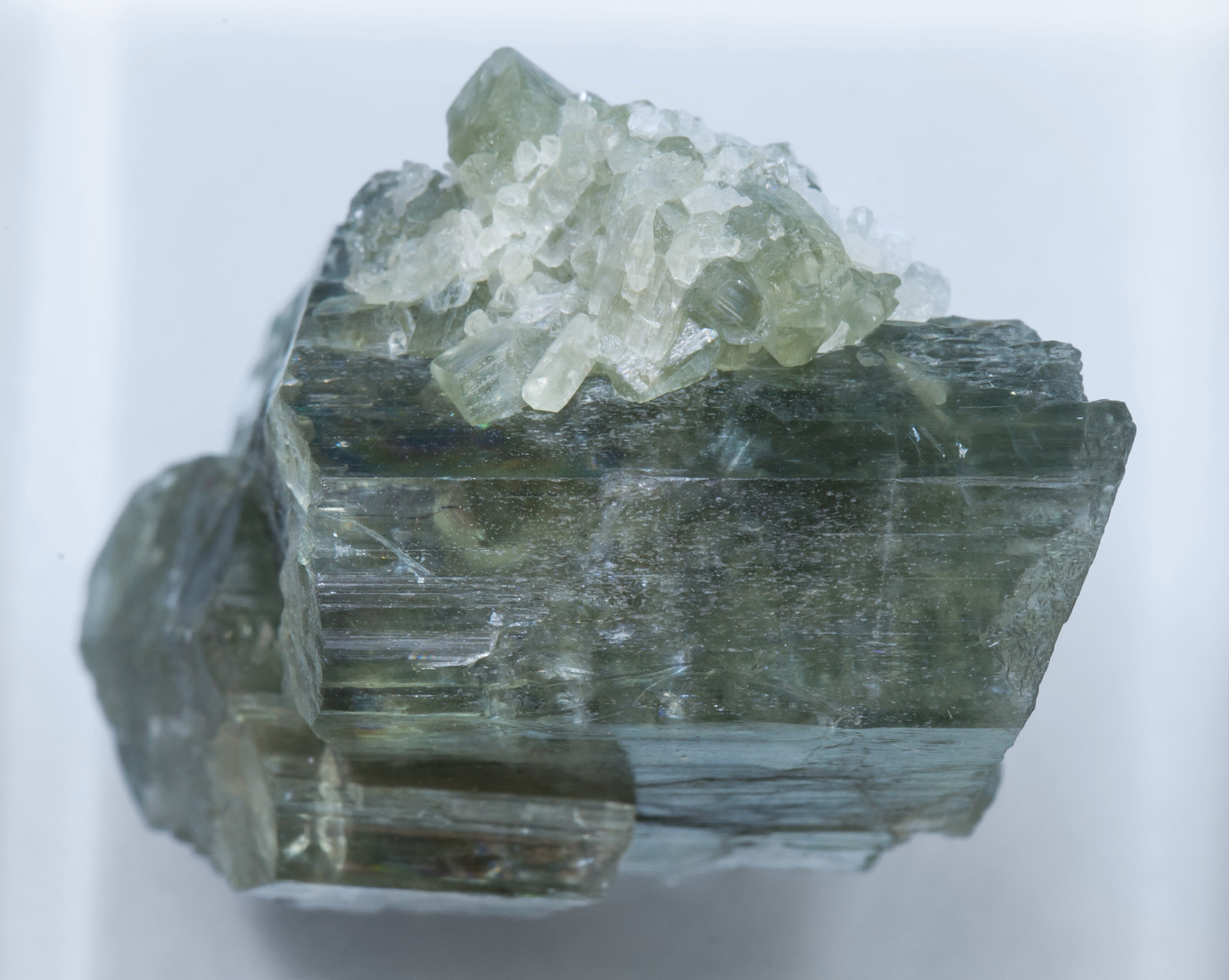 specimens/s_imagesAL2/Tremolite-TT46AL2t.jpg