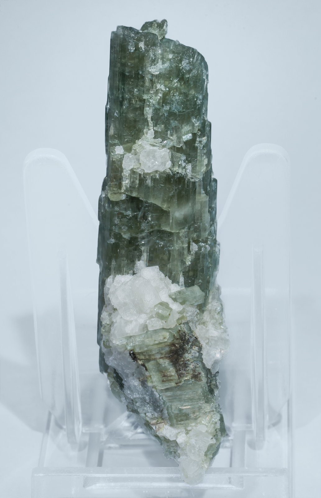 specimens/s_imagesAL2/Tremolite-TV46AL2r.jpg