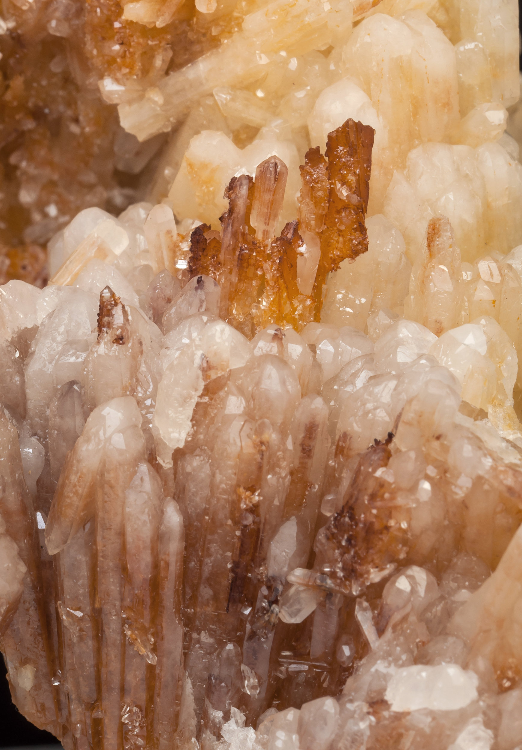 specimens/s_imagesAL3/Aragonite_tarnowitzite-TG69AL3d.jpg