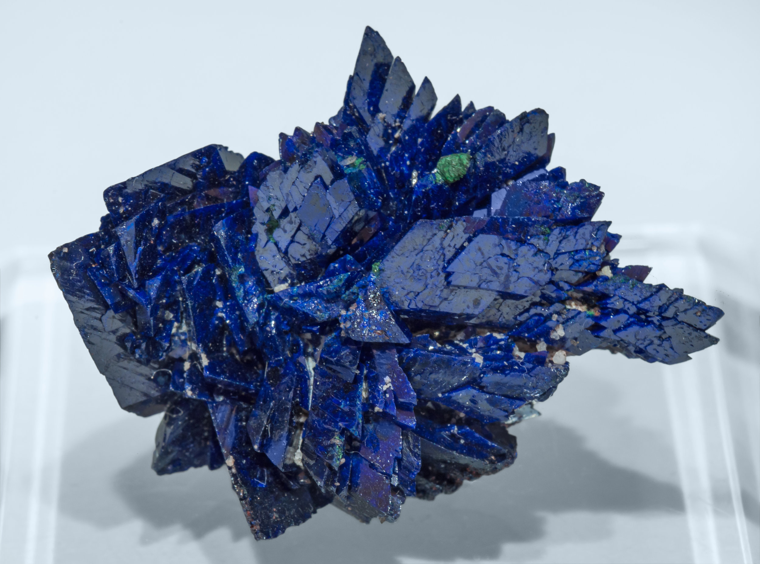 specimens/s_imagesAL3/Azurite-EP27AL3f.jpg