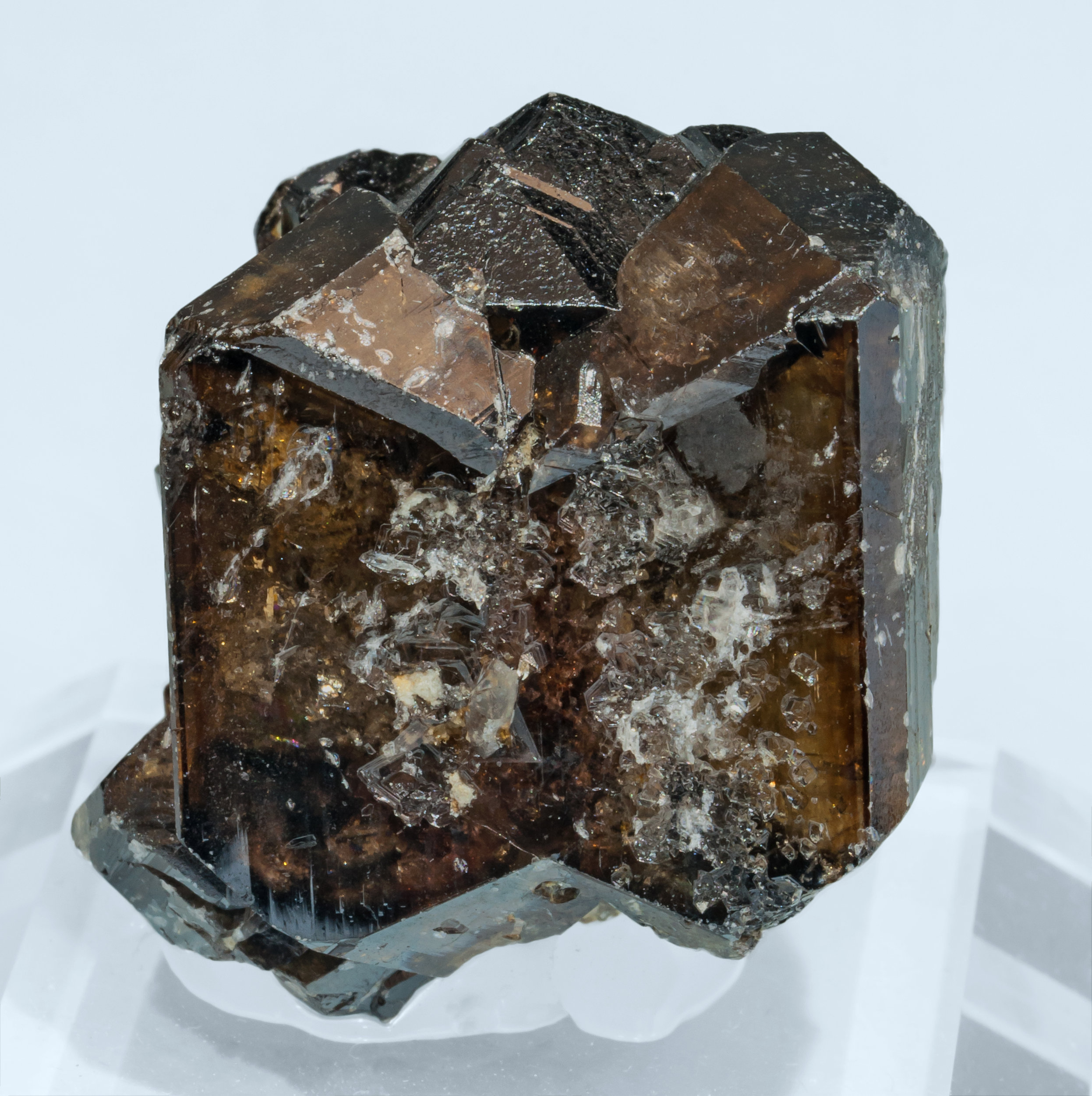 specimens/s_imagesAL3/Cassiterite-MV68AL3f.jpg