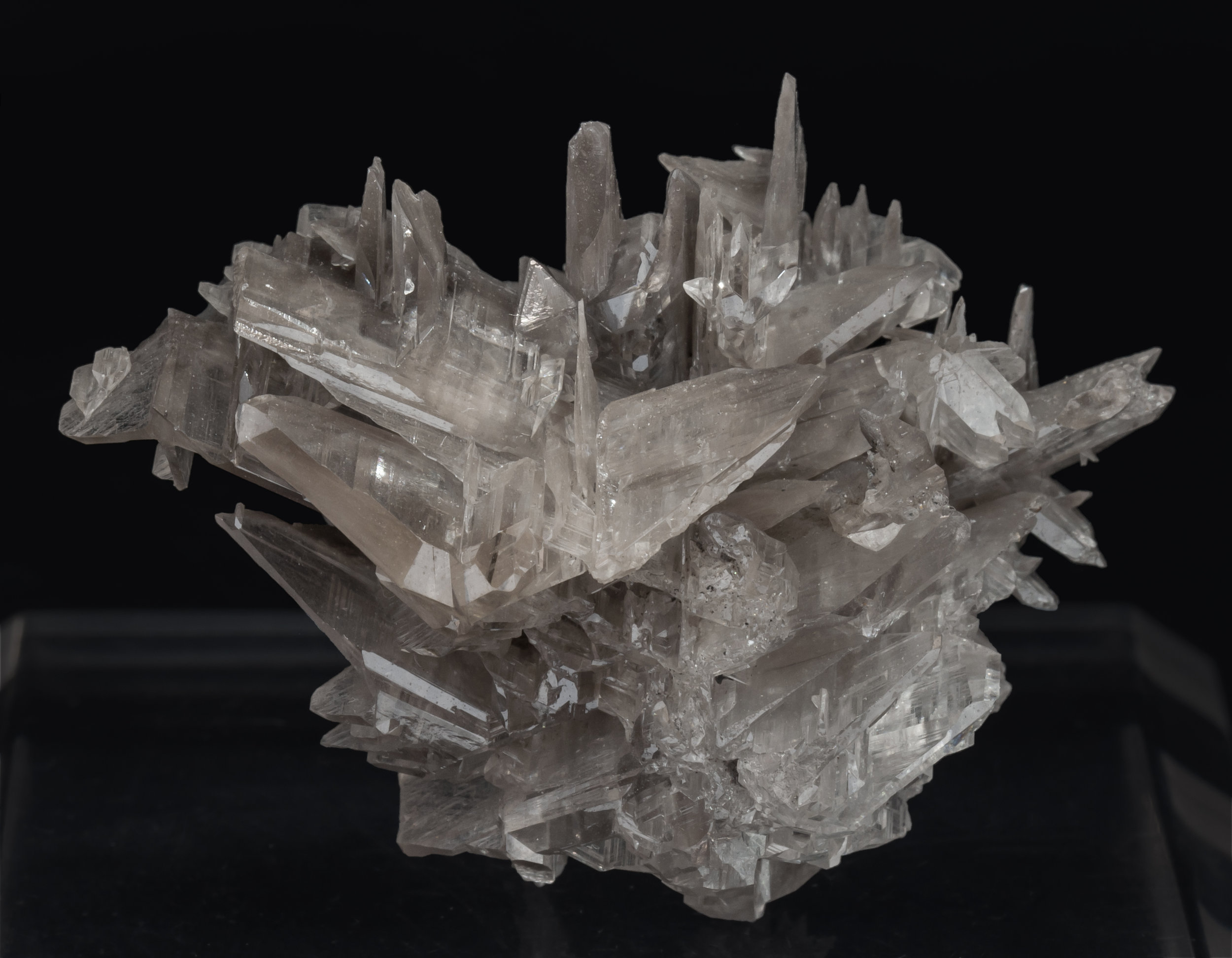 specimens/s_imagesAL3/Cerussite-TQ96AL3f.jpg