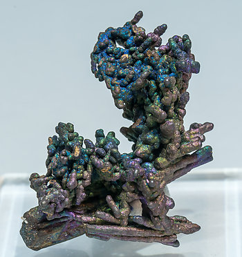 Chalcocite with Chalcopyrite. Front