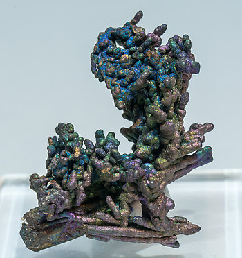 Chalcocite with Chalcopyrite.