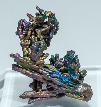 Chalcocite with Chalcopyrite. Rear