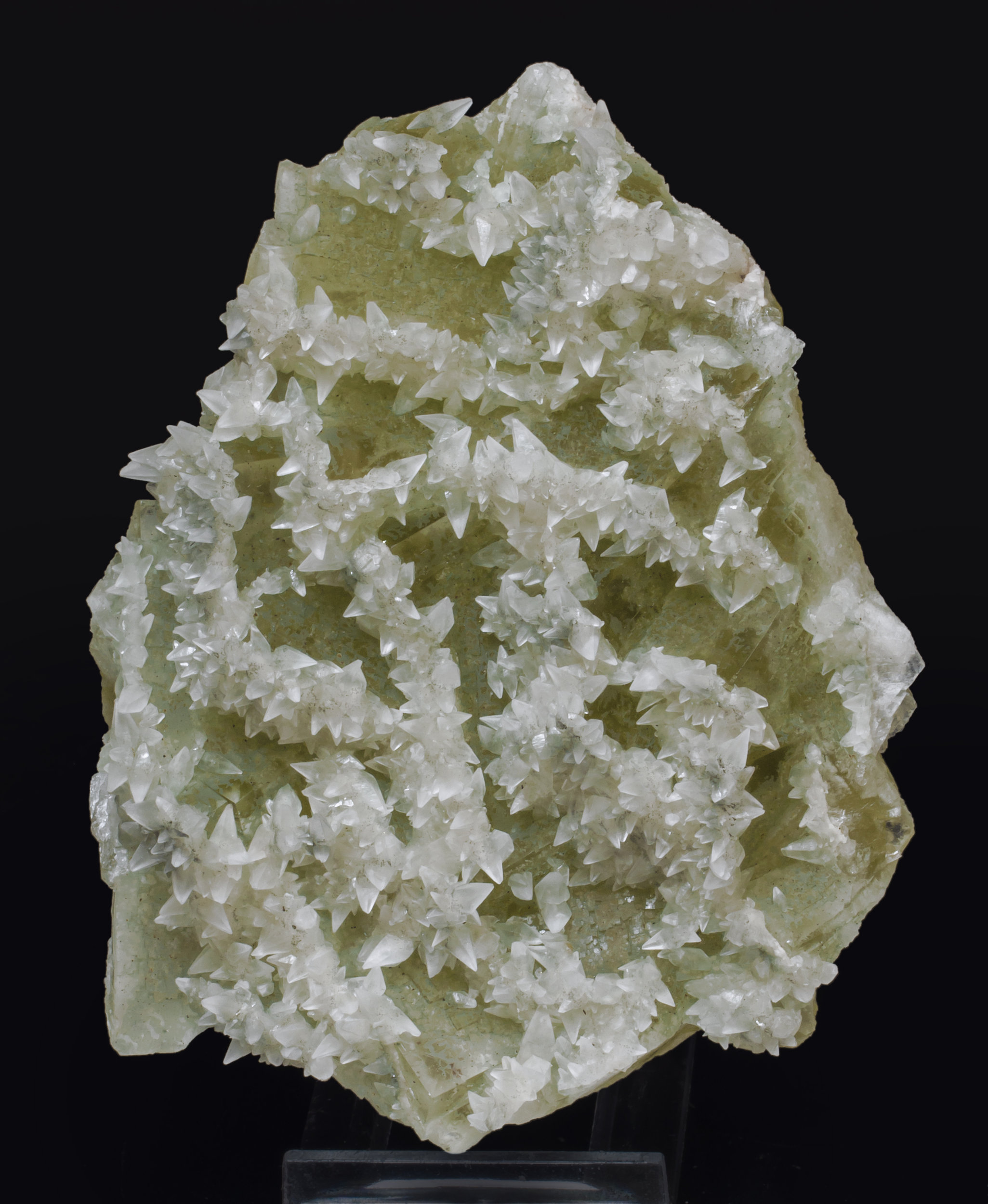 specimens/s_imagesAL3/Fluorite-NR47AL3f.jpg