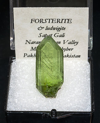 Forsterite with Ludwigite. 