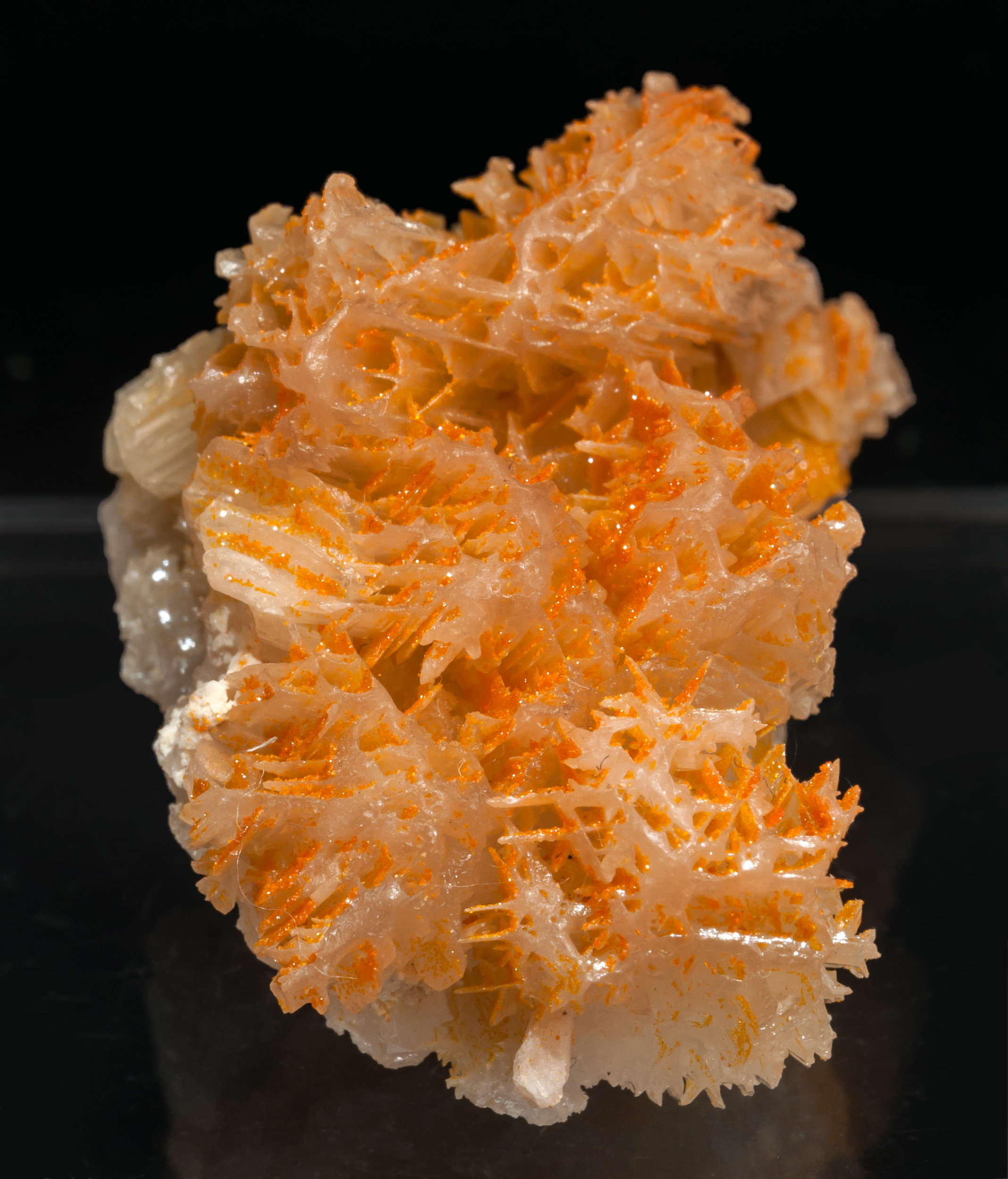 specimens/s_imagesAL3/Mimetite-EL38AL3s.jpg