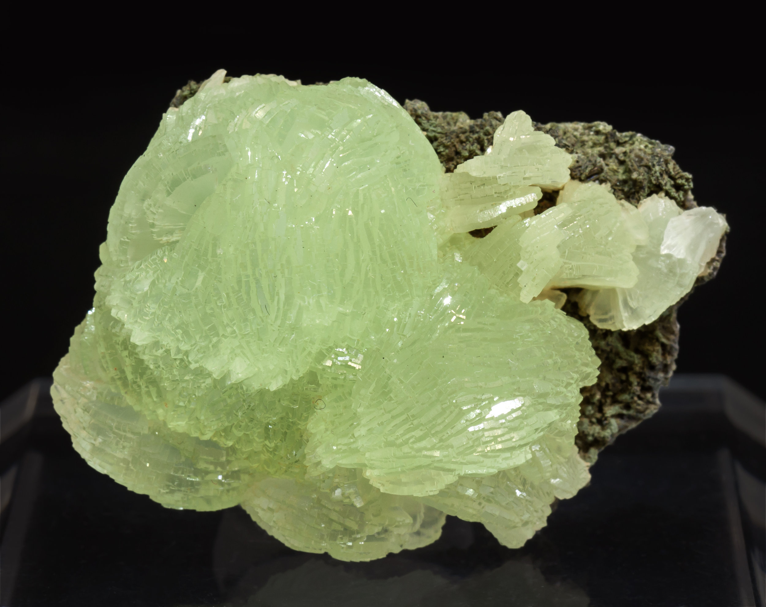 specimens/s_imagesAL3/Prehnite-NC16AL3f.jpg