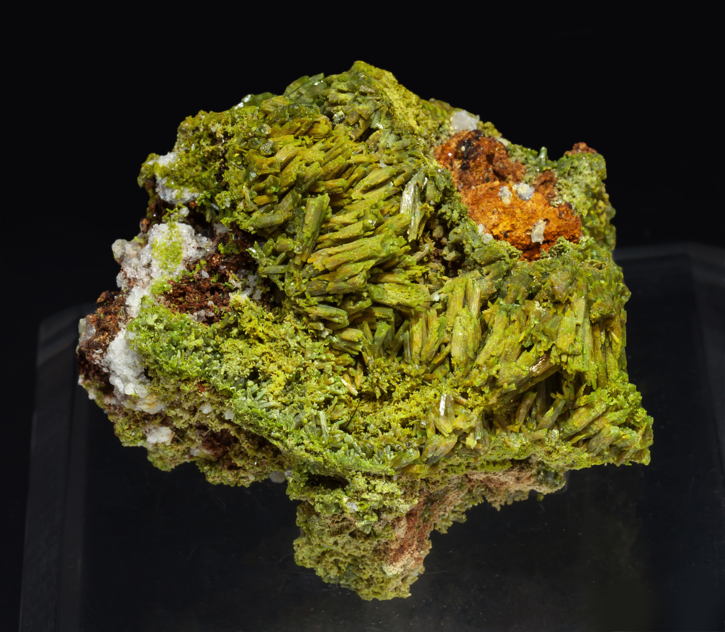 specimens/s_imagesAL3/Pyromorphite-TR27AL3f.jpg