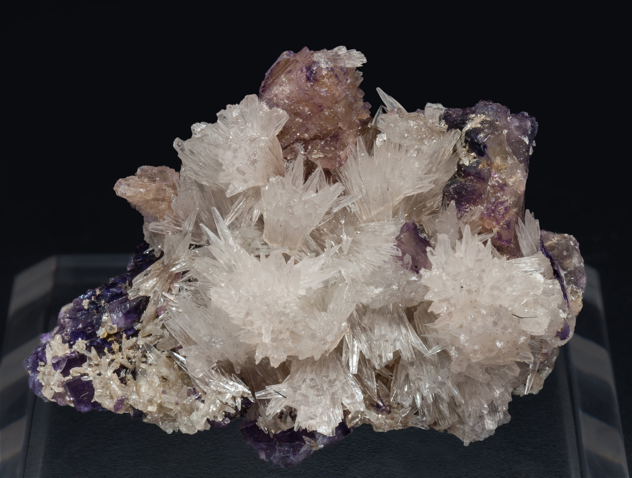 specimens/s_imagesAL3/Strontianite-CN46AL3f.jpg