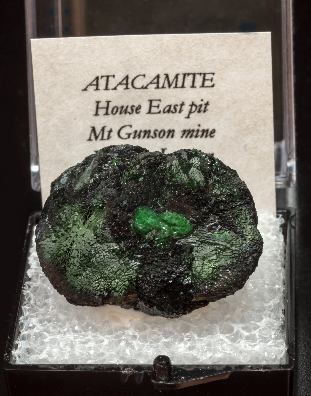 specimens/s_imagesAL4/Atacamite-TX66AL4f1.jpg