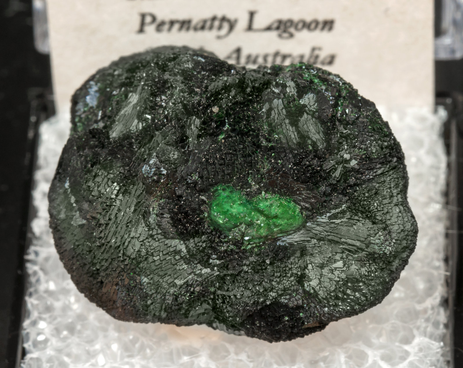 specimens/s_imagesAL4/Atacamite-TX66AL4f2.jpg