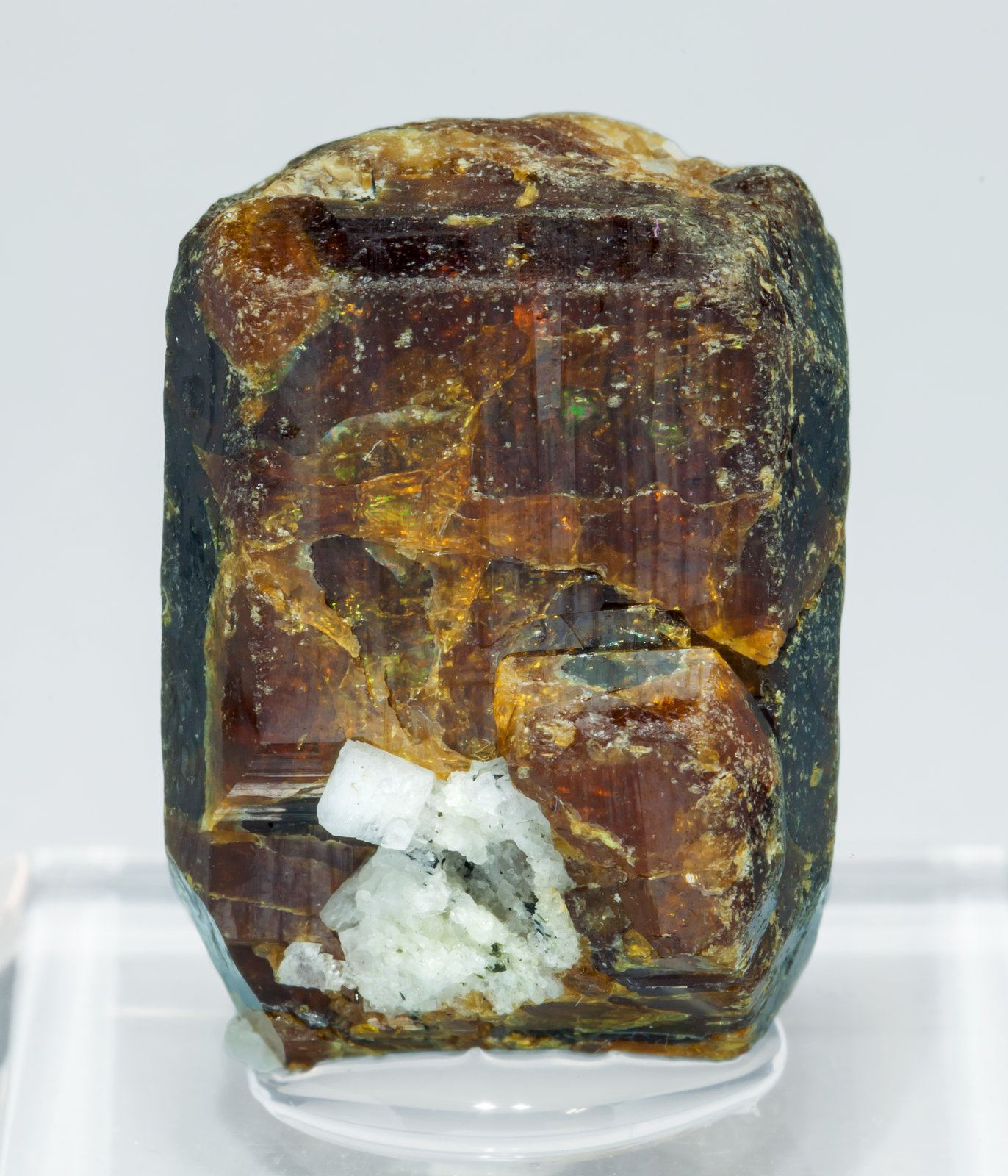 specimens/s_imagesAL4/Bastnasite-Ce-NT47AL4f.jpg