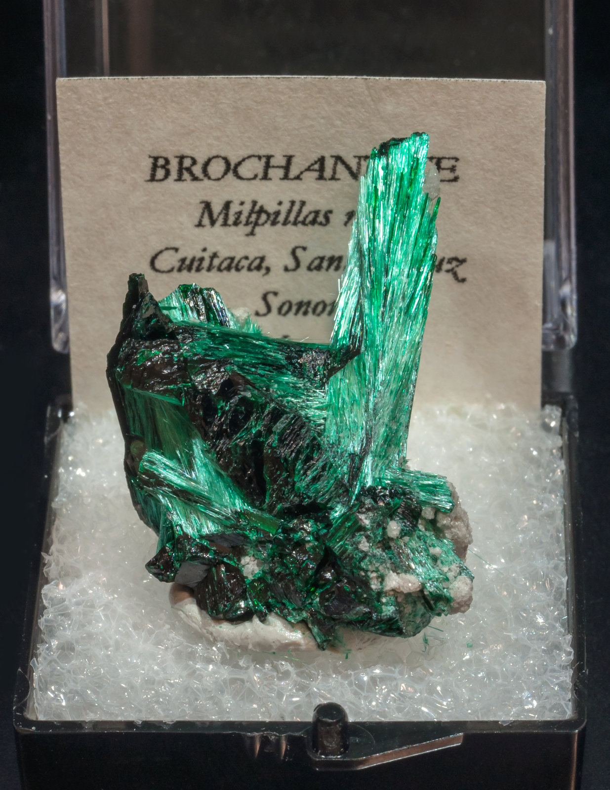 specimens/s_imagesAL4/Brochantite-TN87AL4f1.jpg