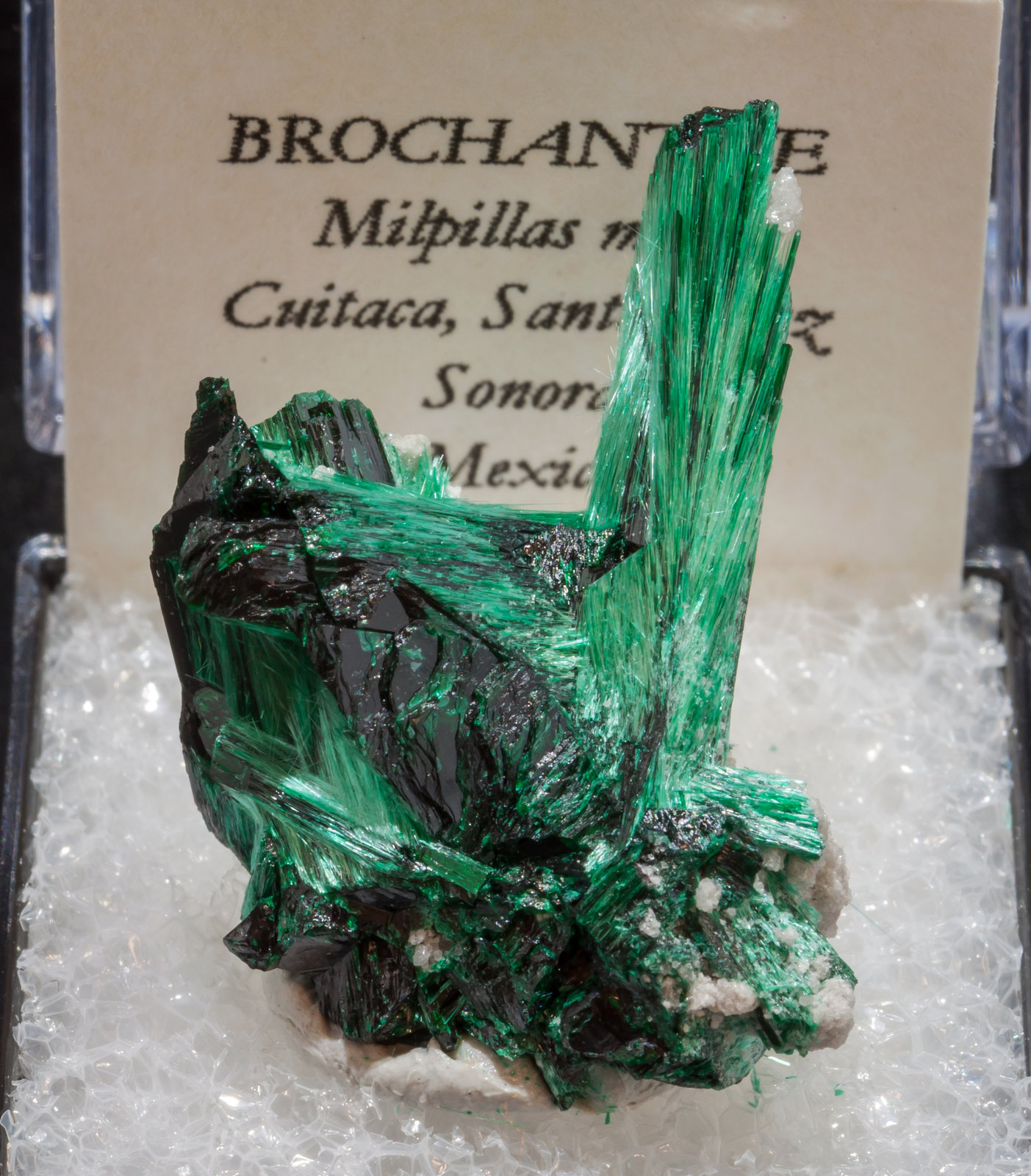 specimens/s_imagesAL4/Brochantite-TN87AL4f2.jpg