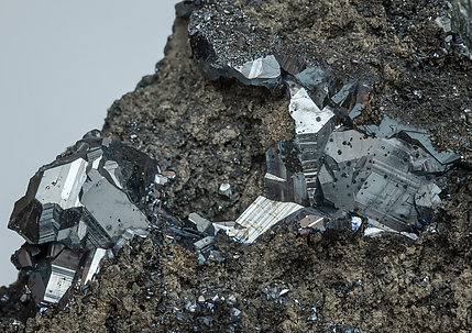 Chalcocite on Pyrite. 